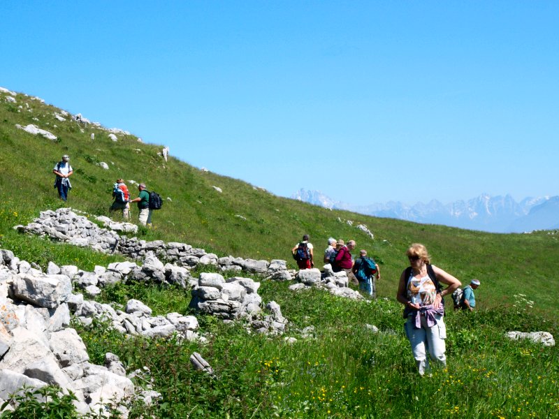 In giro col GIROS... e Listera cordata